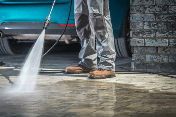Best Sign and Awning Cleaning  in Thief River Falls, MN