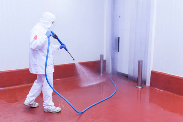 Best Sidewalk and Walkway Cleaning  in Thief River Falls, MN